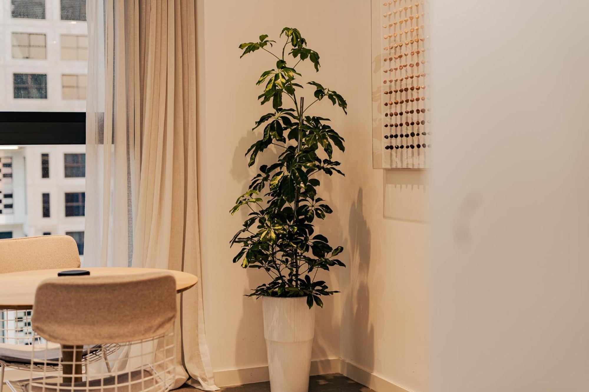 Apartment Voyage One Bedroom In Pixel Tower *